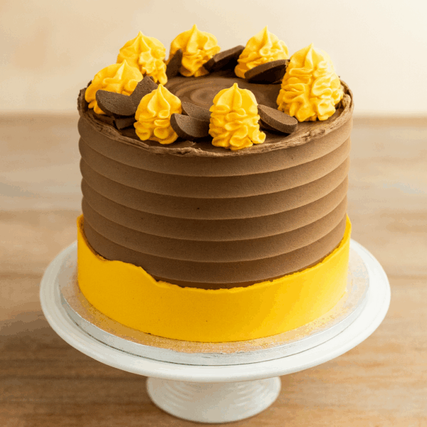 Choc & Orange Cake